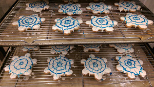 cookies2