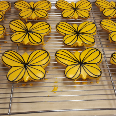 Butterfly Kind of Day