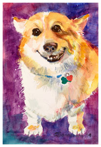 corgi